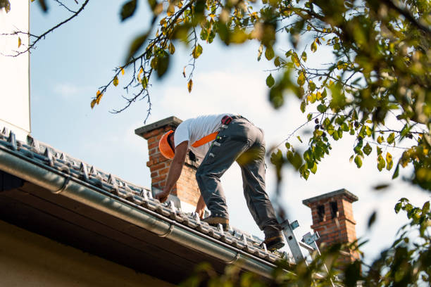Best Flat Roof Repair Services  in Donora, PA