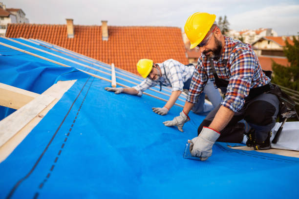 Best Roof Replacement Cost  in Donora, PA